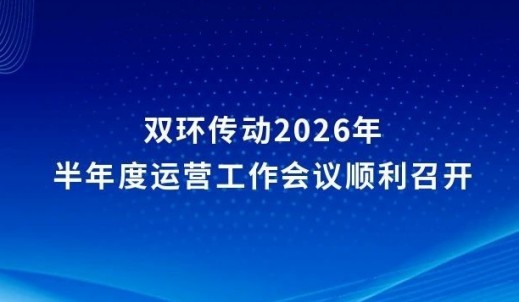 双环